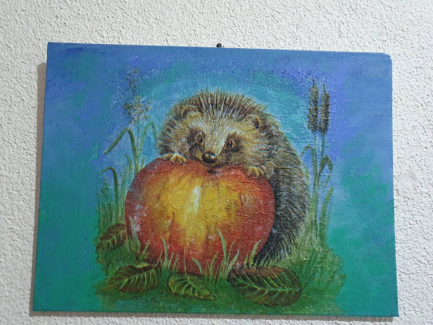 Igel-Bild